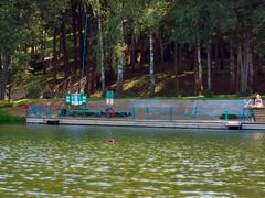 Лесные дали