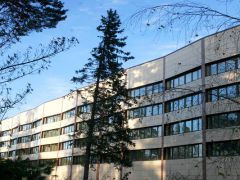 Лесные дали