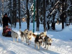 Объединенное королевство,детский лингвистический лагерь