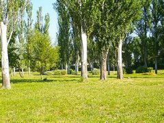 Полярные зори