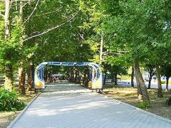 Полярные зори