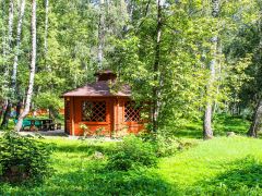 Светлана 