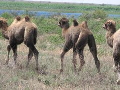 Семь Островов