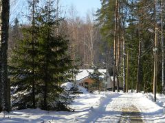 Серебряный плес