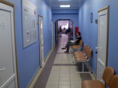 Синезерки