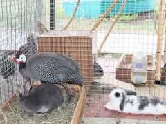 Счастливое детство 