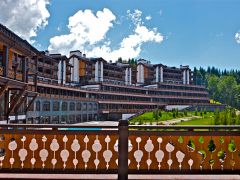 Янжи(Yangee camp) детский лингвистический лагерь