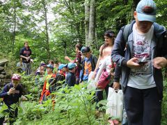 Янжи(Yangee camp) детский лингвистический лагерь