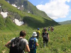 Янжи(Yangee camp) детский лингвистический лагерь