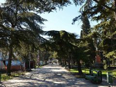 Усадьба Приморский парк