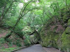 Звездный (Горячий ключ)