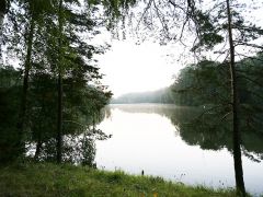 Барвиха