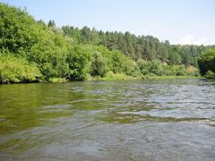 Звенигородский РАН
