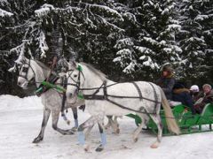 Звенигородский РАН