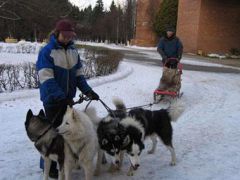 Звенигородский РАН