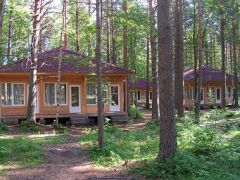 Деревня Александровка