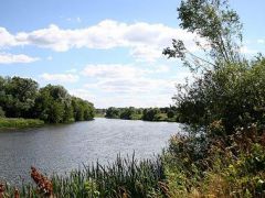 Петрово-Дальнее (УДП РФ)