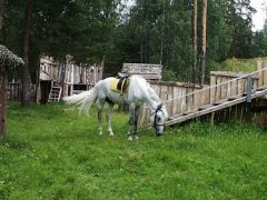 Зеленый городок
