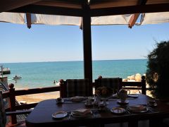 Вязовая Роща