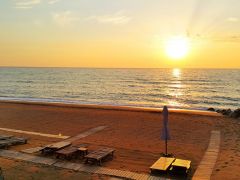 Вязовая Роща