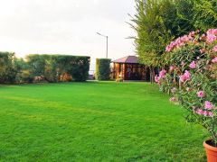 Вязовая Роща