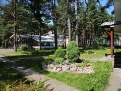 Плесков
