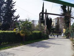 София Адлер (на Медовой)