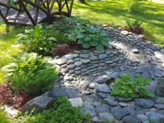 Орлиное гнездо (Алтай)