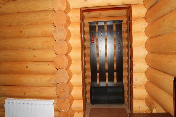 Орлиное гнездо (Алтай)