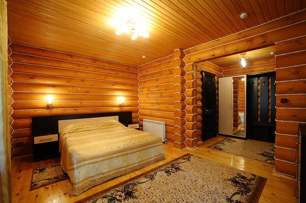 Орлиное гнездо (Алтай)