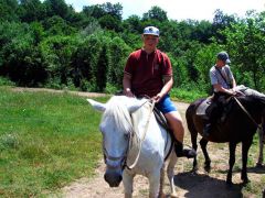 Морская звезда детский оздоровительный лагерь