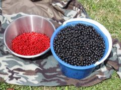 Александровская слобода