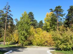 Ангара (курорт)