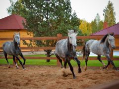 Лесное озеро