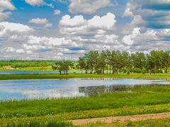 Green Gold Park