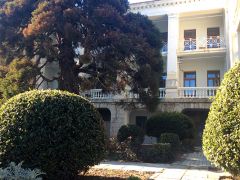 Лиго Морская