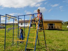 Маральник Алтай