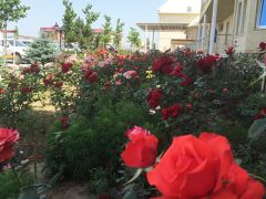 Уют Тамани(Анапа)