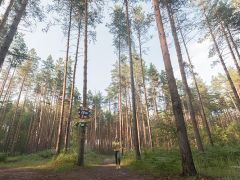 Усадьба Мещёрская