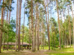 Лосево Парк база отдыха
