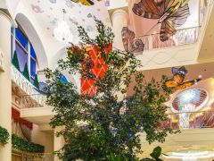 Шамбала(Анапа)