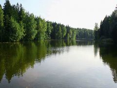 Солонцово