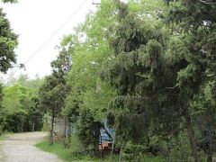 Прибой, Широкая балка