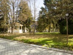 Чайка (Нальчик)