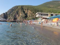 Фламинго(Партенит)