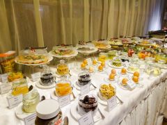 Vnukovo Village Park Hotel