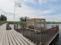Глухомань
