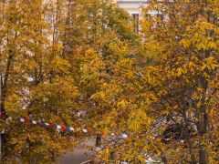 Гостиница 