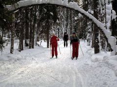 Ягодная деревушка