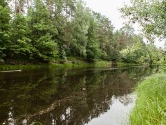 Ягодная деревушка